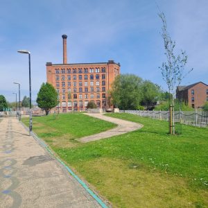 Read more about the article Miles Platting Wildlife Corridor- Summer 2025 update