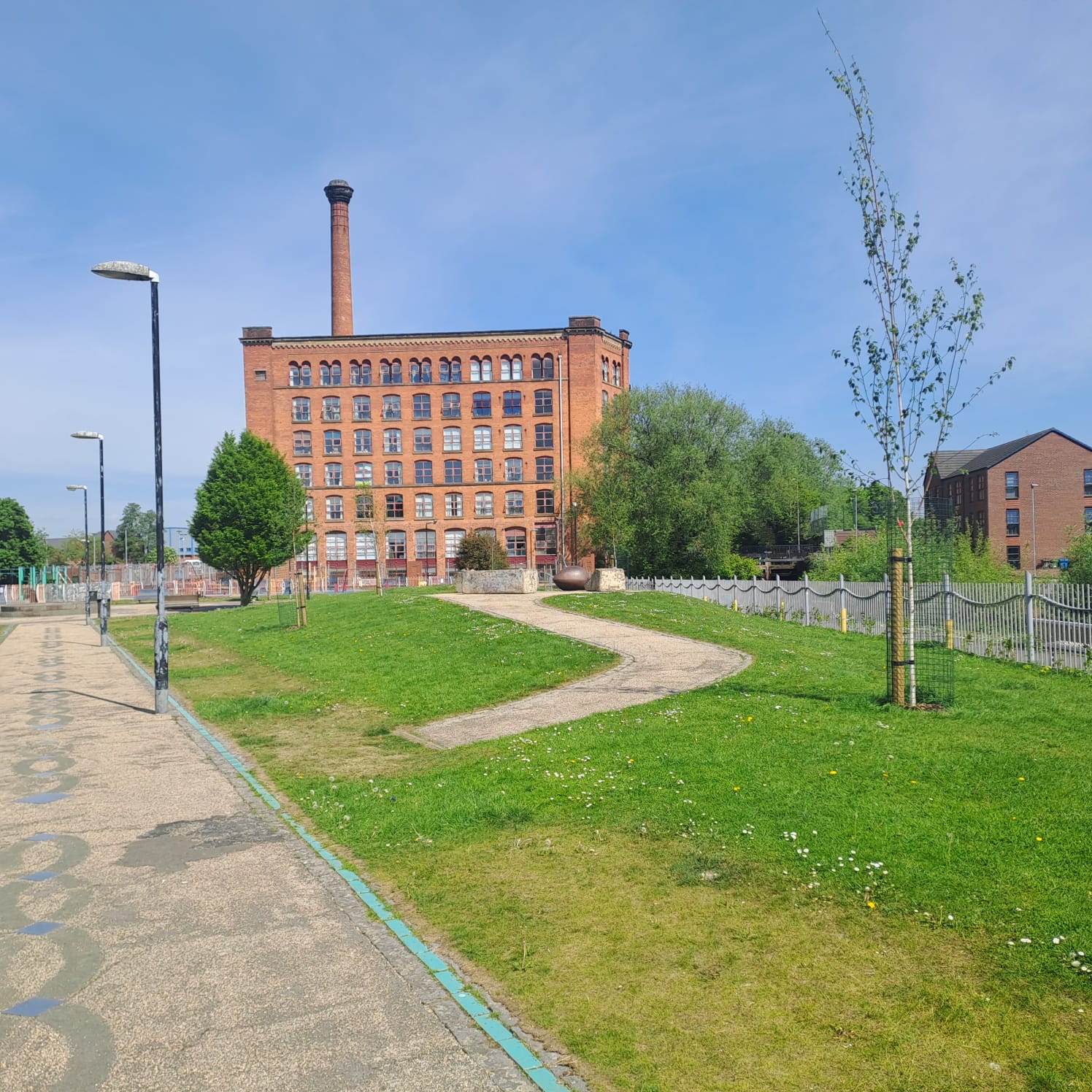 You are currently viewing Miles Platting Wildlife Corridor- Summer 2025 update
